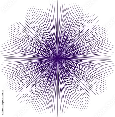 illustration  flower of straight lines  complex geometric shape  on a white background