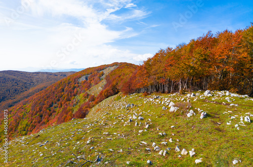 Mount Autore Livata (Subiaco, Italy) - Autumnal foliage in the mountains of province of Roma, Lazio region, Simbruini mounts natural park. Here a view with a beautiful autumn landscape.