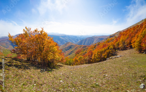 Mount Autore Livata (Subiaco, Italy) - Autumnal foliage in the mountains of province of Roma, Lazio region, Simbruini mounts natural park. Here a view with a beautiful autumn landscape.