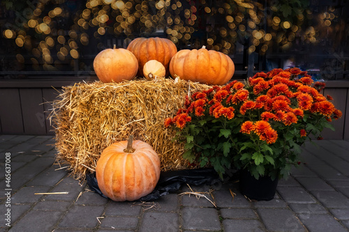Decorative area for the Halloween and Day of the Dead party. Home decoration for the day of all saints, Halloween, the day of the departed souls. Several large pumpkins on a bale of straw 