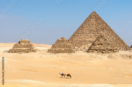 Nomad on a camel at Giza pyramid complex  Egypt
