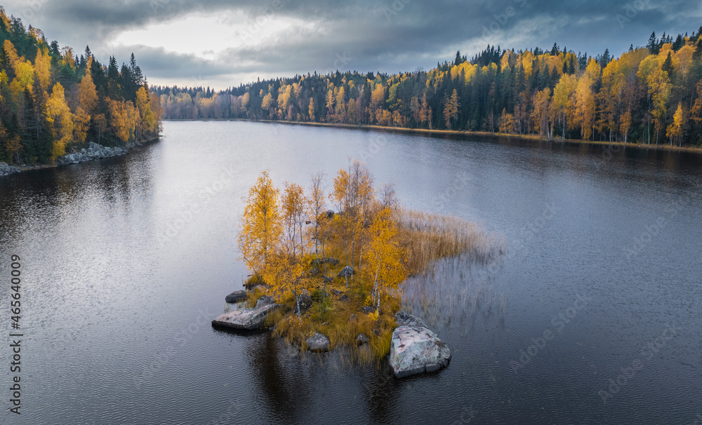 Fototapeta premium Aerial view of colorful autumn lake on light background for concept design. Forest trees. Holiday concept. Kid graphic. Beauty concept.