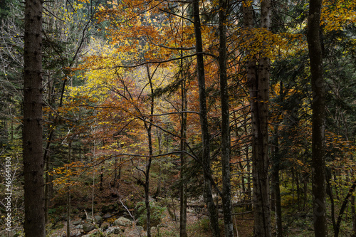 Walking in the Marguareis Natural Park, Pesio Valley Maritime Alps, Cuneo, Italy