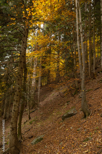 Walking in the Marguareis Natural Park, Pesio Valley Maritime Alps, Cuneo, Italy