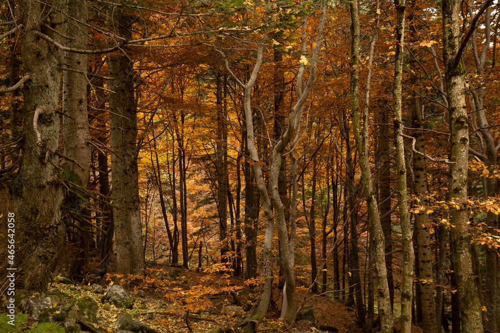 Walking in the Marguareis Natural Park, Pesio Valley Maritime Alps, Cuneo, Italy Walking in the Marguareis Natural Park, Pesio Valley Maritime Alps, Cuneo, Italy