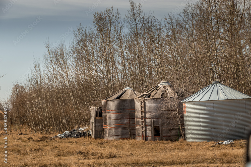 Rustic farm buildings stand in the Evarts Alberta Canada