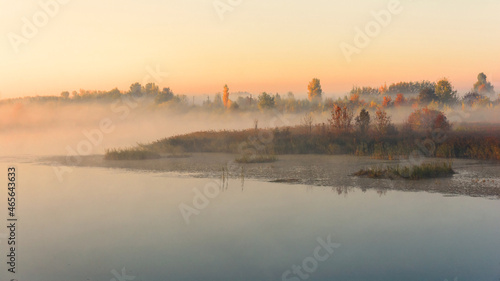 Autumn. Dawn. Morning fog. Fog over the swamp. Thick autumn fog. Trees and bushes in dense fog