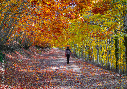 Tableau sur toile Mount Autore Livata (Subiaco, Italy) - Autumnal foliage in the mountains of province of Roma, Lazio region, Simbruini mounts natural park
