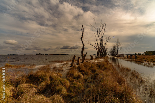 Puan Island, Buenos Aires, Argentina photo