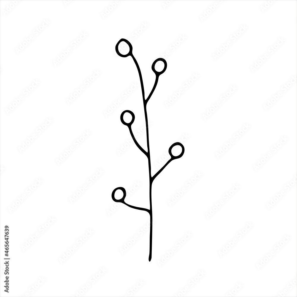 A painted branch with berries. Doodle style, floral decor, fruit pattern, minimalism. Isolated. Vector illustration. A painted branch with berries. Doodle style, floral decor, fruit pattern, minimalism. Isolated. Vector illustration.
