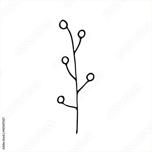 A painted branch with berries. Doodle style  floral decor  fruit pattern  minimalism. Isolated. Vector illustration.