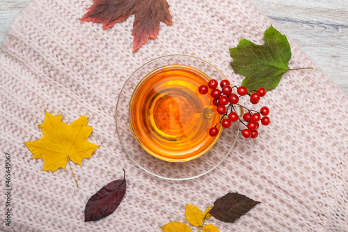 Woolen cloth, tea with rowan berries in a transparent cup and autumn leaves on a wooden background. Tea day concept top view © Tasha