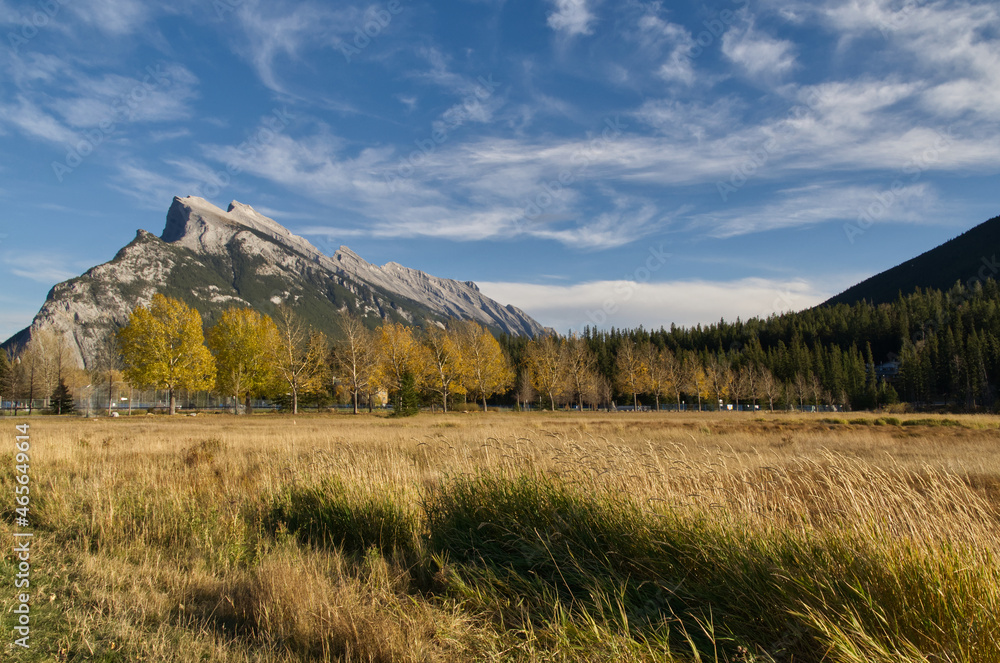 Fototapeta premium Autumn Fields in the Mountains