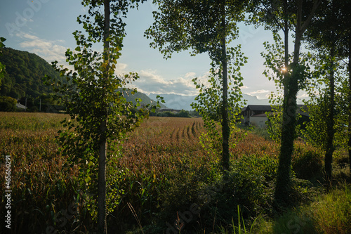 Campagne Gières, France