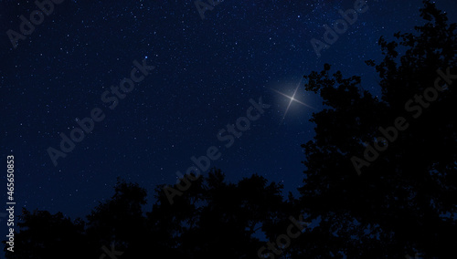 Christmas star rising over a silhouetted tree line