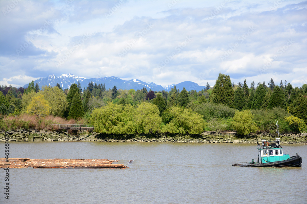 Tugboat towing a log boom up river with trees and mountains in background.