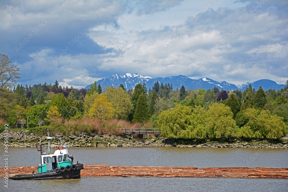 Tug boat along side log boom on Fraser river with trees and mountains in background.