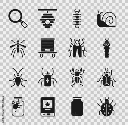 Set Mite, Beetle bug, Larva insect, Centipede, Hive for bees, Mosquito, Magnifying glass and icon. Vector