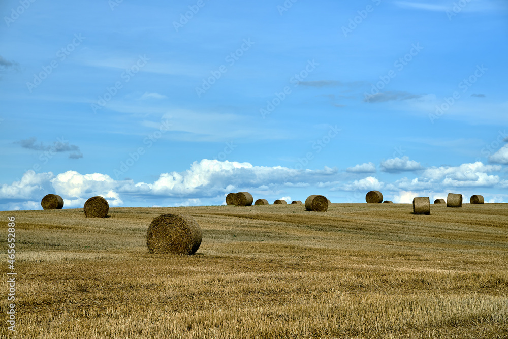 Rural landscape with stubble during the summer in Poland
