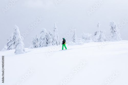 Snowboarders and skier ride through the wild forest on a beautiful cold winter day. Landscape of high mountains with snow and tree. Wallpaper background. Location place Carpathian, Ukraine, Europe