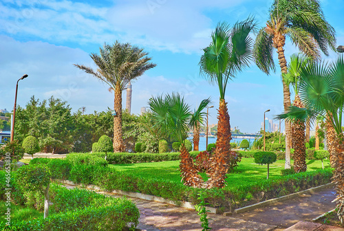 Shady garden in Cairo, Egypt photo