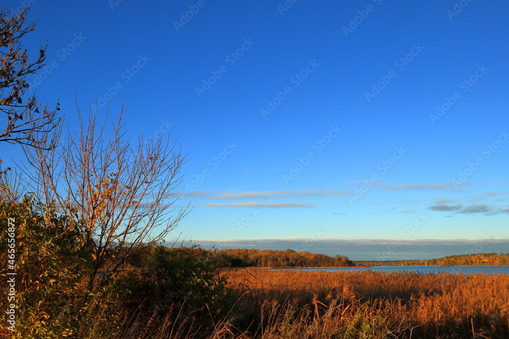 Great autumn nature landscape photo. A Swedish lake in the background and blue sky. Stockholm, Sweden, Europe. Great autumn nature landscape photo. A Swedish lake in the background and blue sky. Stockholm, Sweden, Europe.