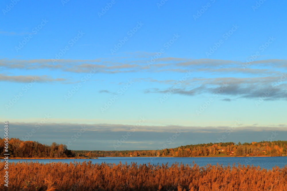 Great autumn nature landscape photo. A Swedish lake in the background and blue sky. Stockholm, Sweden, Europe.