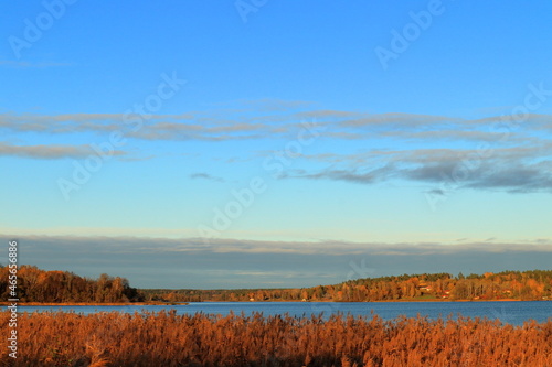 Great autumn nature landscape photo. A Swedish lake in the background and blue sky. Stockholm  Sweden  Europe.