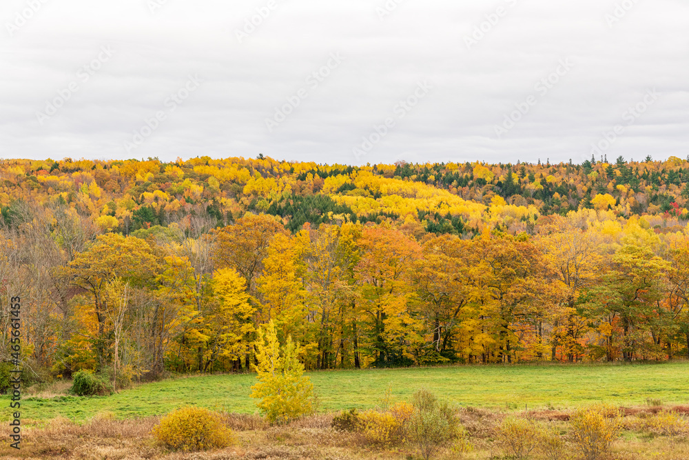 Fall color in rural Nova Scotia.  Shot in Kings county in october.