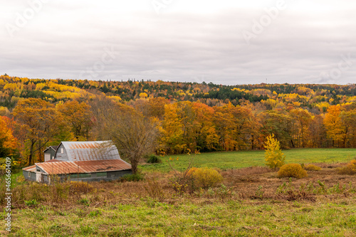 Fall color in rural Nova Scotia. Shot in Kings county in october.
