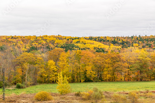 Fall color in rural Nova Scotia. Shot in Kings county in october.