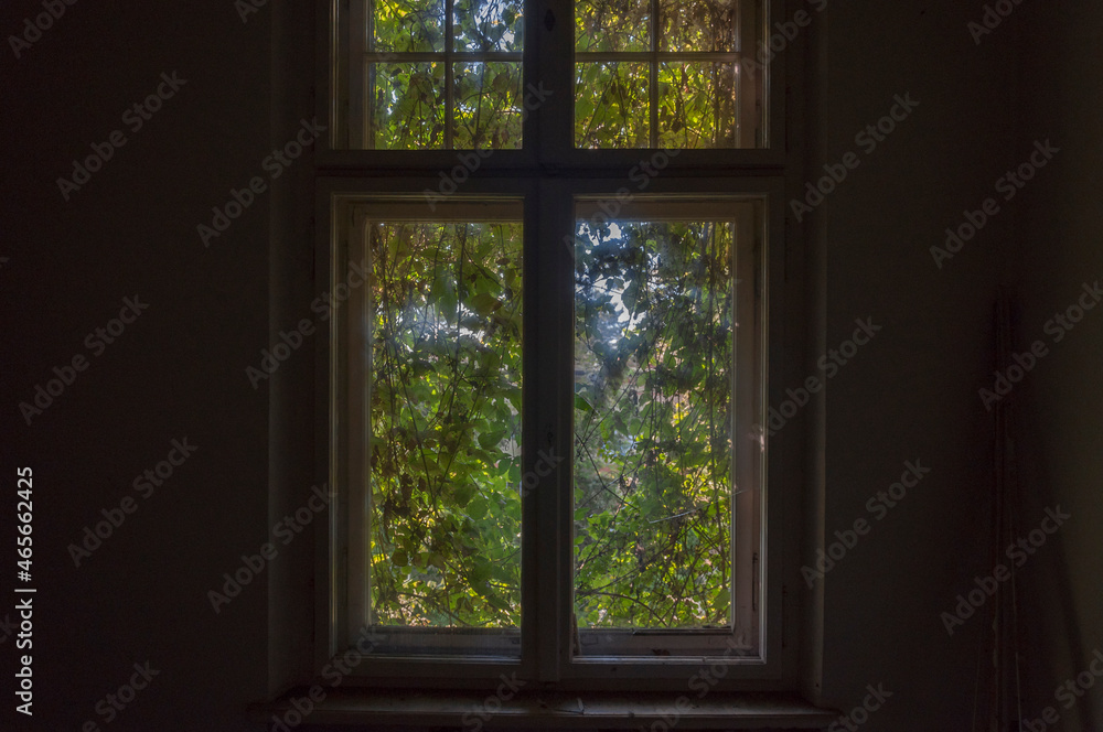 Abandoned villa of Leon Allart in Łódź, Poland Abandoned villa of Leon Allart in Łódź, Poland