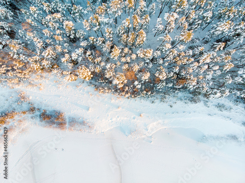 Beautiful aerial view of snow covered pine forests aroung Gela lake. Rime ice and hoar frost covering trees. Winter landscape near Vilnius, Lithuania.