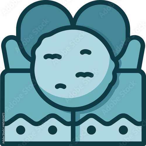 snowball Two Tone icon