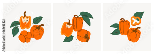 Set of decorative still lifes with sweet bell pepper. Hand drawing paprika wedges, twigs and leaves. Ideal for print, posters, postcards, design creation. Vector trendy triptych.