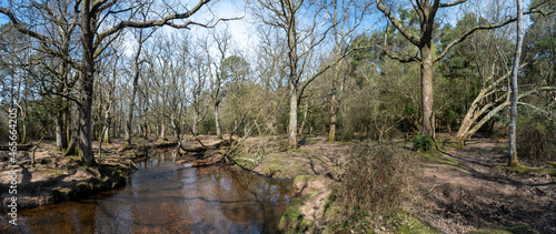 Podobny obraz