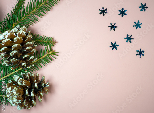 Fir cone on the brabch and snowflakes. New Year card. Christmas card on a pink background.