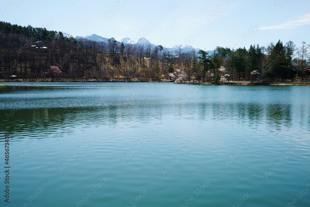 春の桜が咲く頃の湖の風景　-日本、蓼科湖