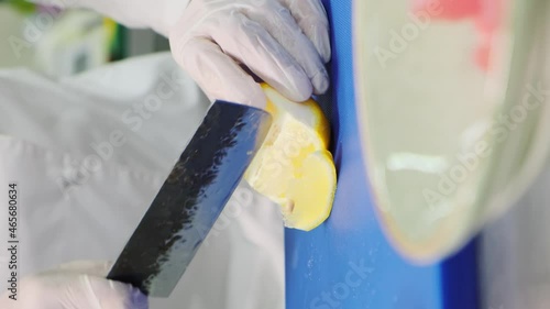 Wallpaper Mural The chef is cutting a lemon. The chef is slicing a lemon close-up. Healthy food concept. Vertical video
 Torontodigital.ca