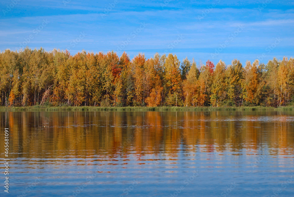 Autumn forest is reflected in the water on the Volga river Autumn forest is reflected in the water on the Volga river