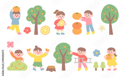 Cute children are having fun harvesting tangerines from tangerine trees. flat design style vector illustration.