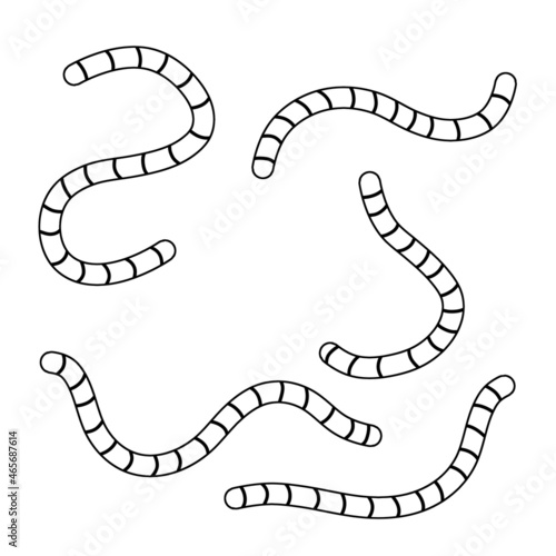 Earthworm. Insect worm set. Black and white cartoon illustration. Bait for fishing