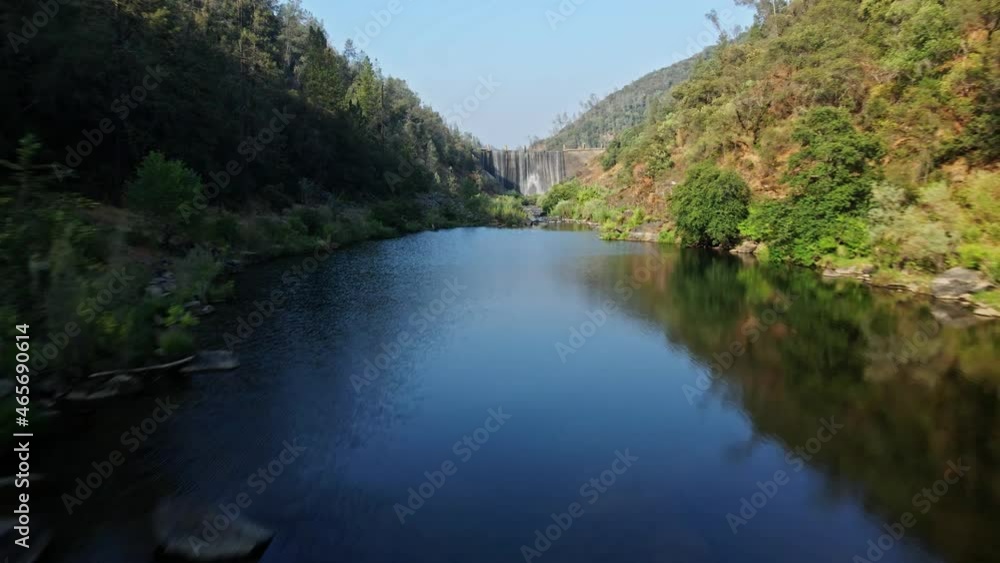 Lush Green Forest On The Riverbanks At The Lower Lake Clementine In California, USA. aerial Lush Green Forest On The Riverbanks At The Lower Lake Clementine In California, USA. aerial