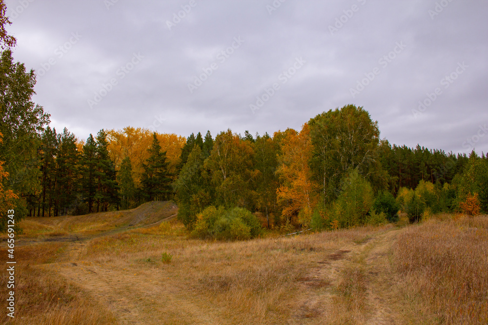 Landscape of the place 'Bear's Hill' in Russia.An attraction is a place called 'Bear's Hill'. Russia, Kurgan region, Shadrinsky district