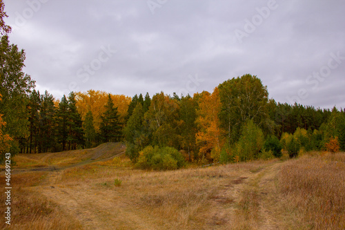 Landscape of the place  Bear s Hill  in Russia.An attraction is a place called  Bear s Hill . Russia  Kurgan region  Shadrinsky district