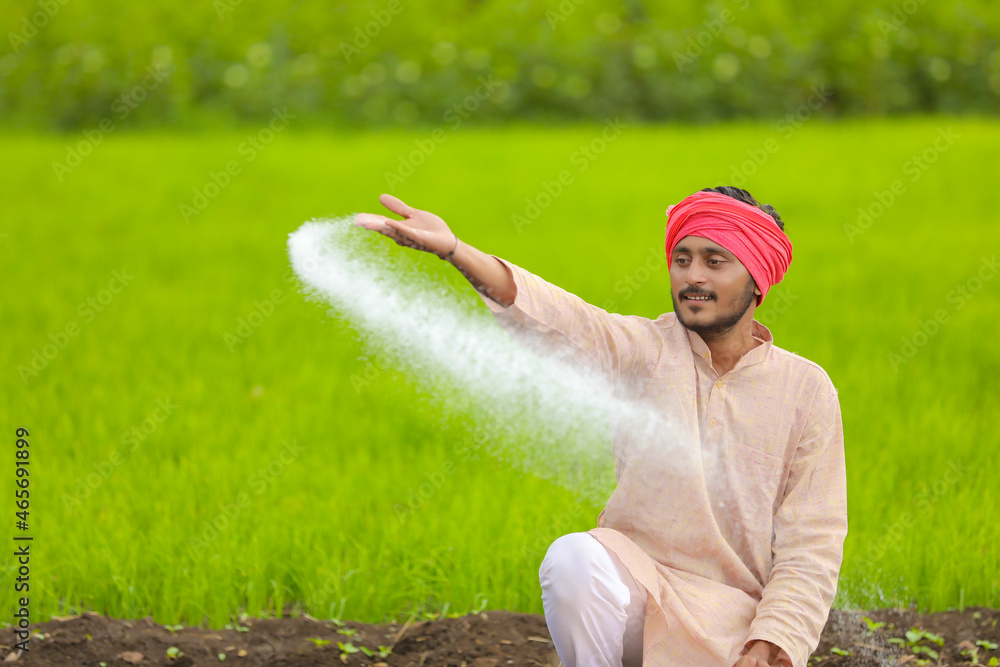 Indian farmer spreading fertilizer in the green agriculture field ...
