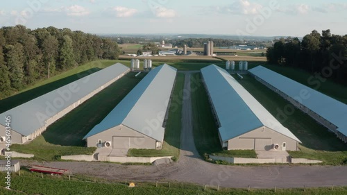 Rising aerial of chicken houses, barns for poultry. Farm rural agriculture theme. Industrial factory animal production. photo