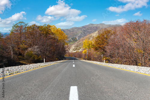 Asphalt road between autumn trees