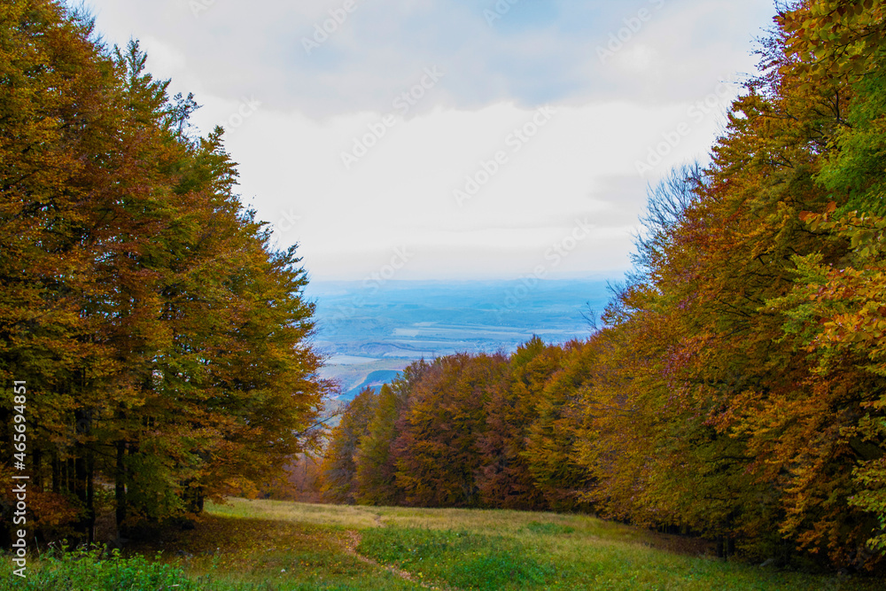 Obraz premium Landscape from a top of a mountain