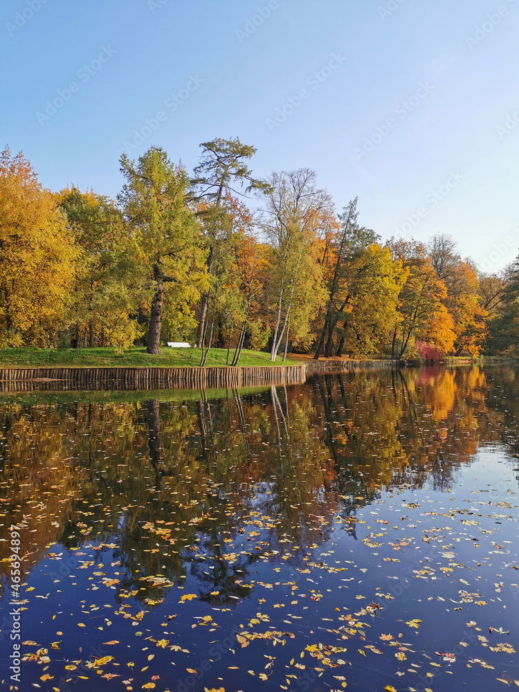 Autumn in the park. Trees with bright, falling leaves grow on the shore of the pond and are reflected in its water. Autumn in the park. Trees with bright, falling leaves grow on the shore of the pond and are reflected in its water.